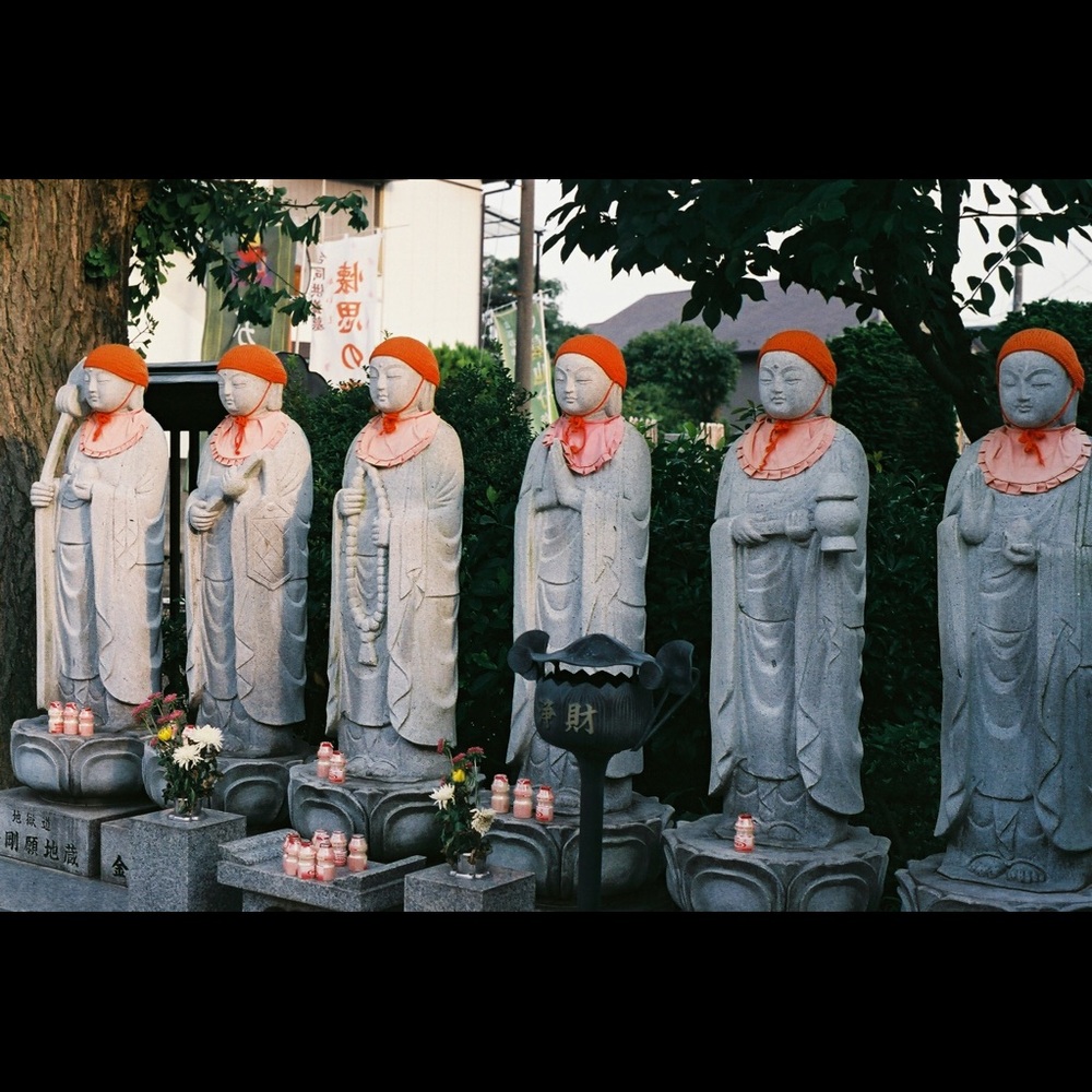 Meet your Posher, Hana